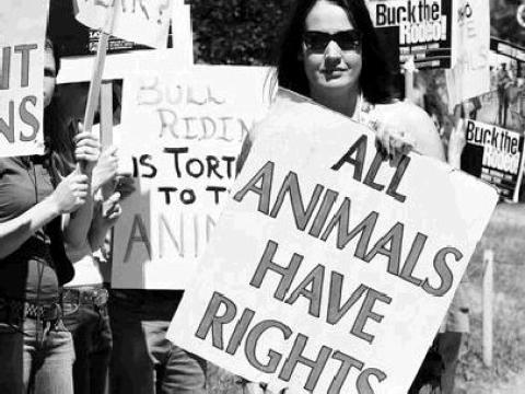 Reply to 'Letter on animal liberation' - Antagonism and Practical ...